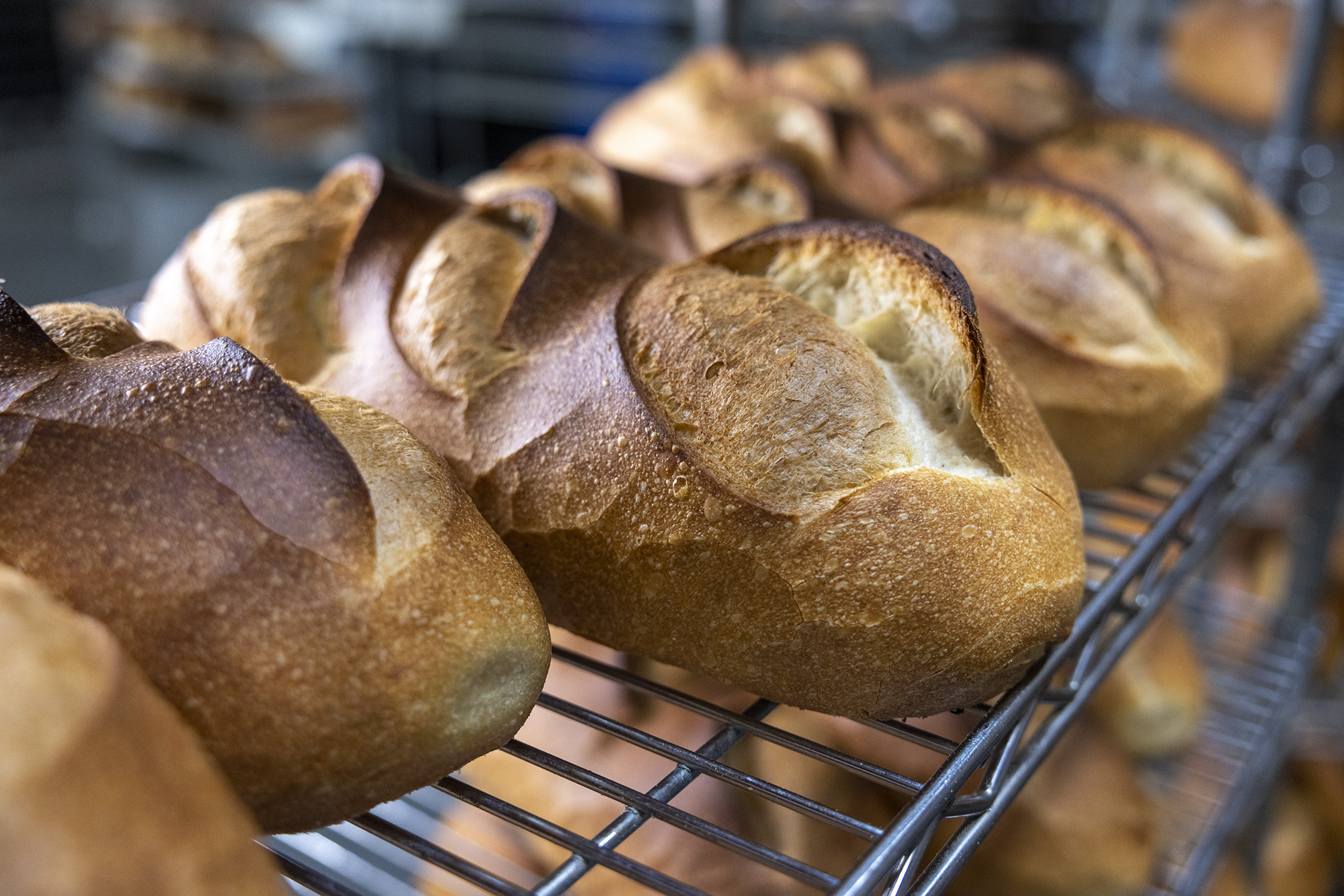 Freshly baked loafs of bread